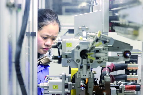 开门红 诸暨企业吹响冲锋号 软件开发行业迎来新机遇