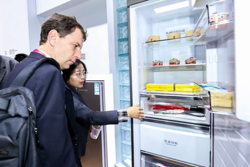 从“AWE后记”看家电企业数字化转型 海尔词典软件的开发与应用